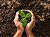 Settore Ecologia