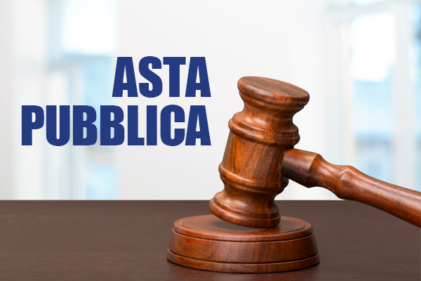 Asta-pubblica.png
